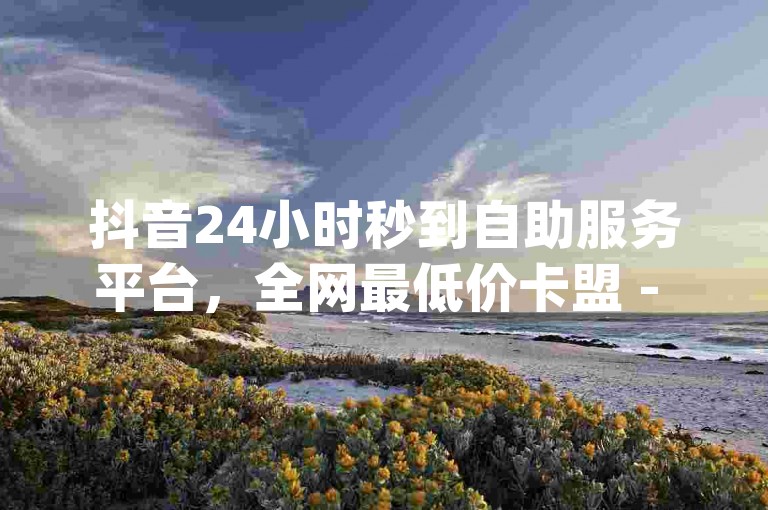 抖音24小时秒到自助服务平台，全网最低价卡盟 - 提供10000播放量服务 - dy业务下单享受24小时最低价优惠。