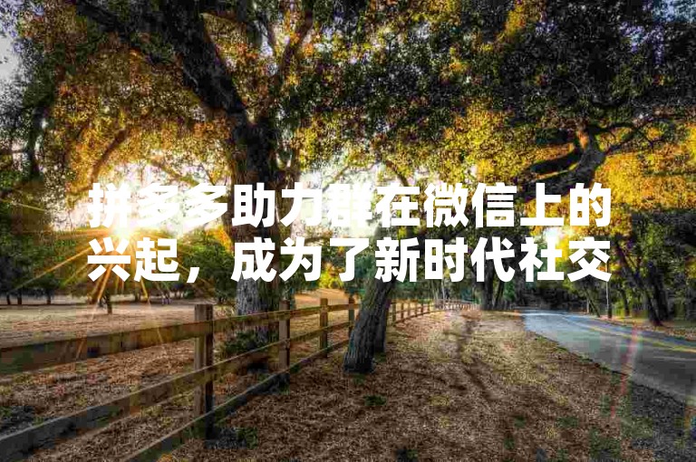 拼多多助力群在微信上的兴起，成为了新时代社交电商的一个独特现象。