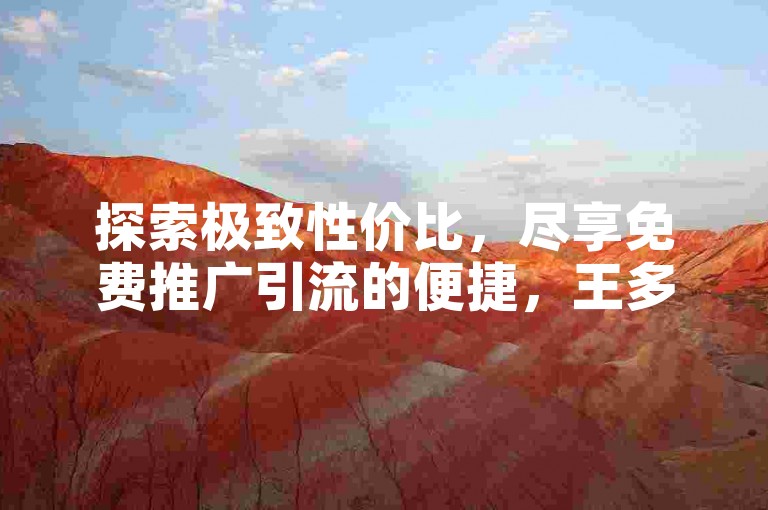探索极致性价比，尽享免费推广引流的便捷，王多鱼与文赫现场扑克携手Q币充值平台，打造最实惠的KS业务下单体验。