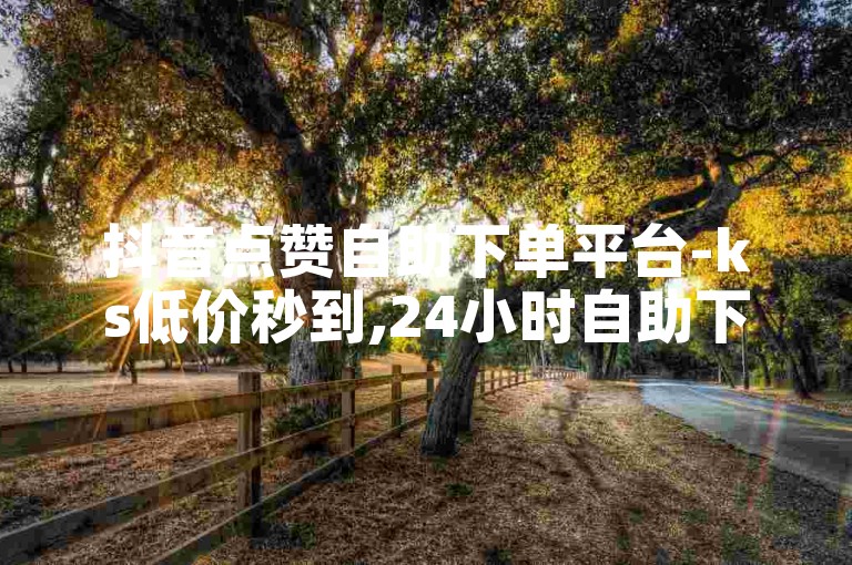 抖音点赞自助下单平台-ks低价秒到,24小时自助下单商城