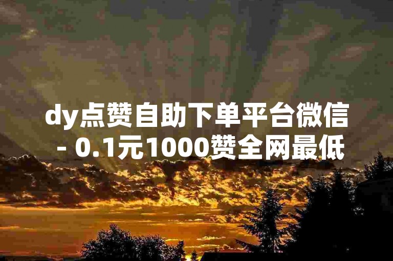dy点赞自助下单平台微信 - 0.1元1000赞全网最低价