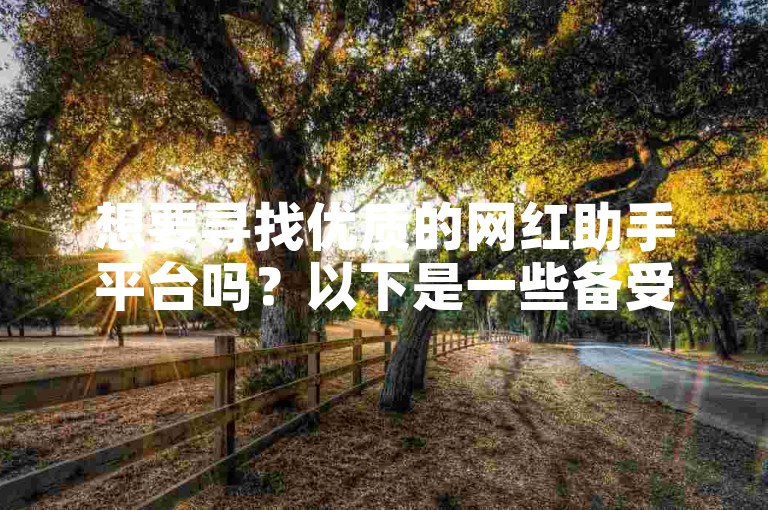 想要寻找优质的网红助手平台吗？以下是一些备受好评的推荐。