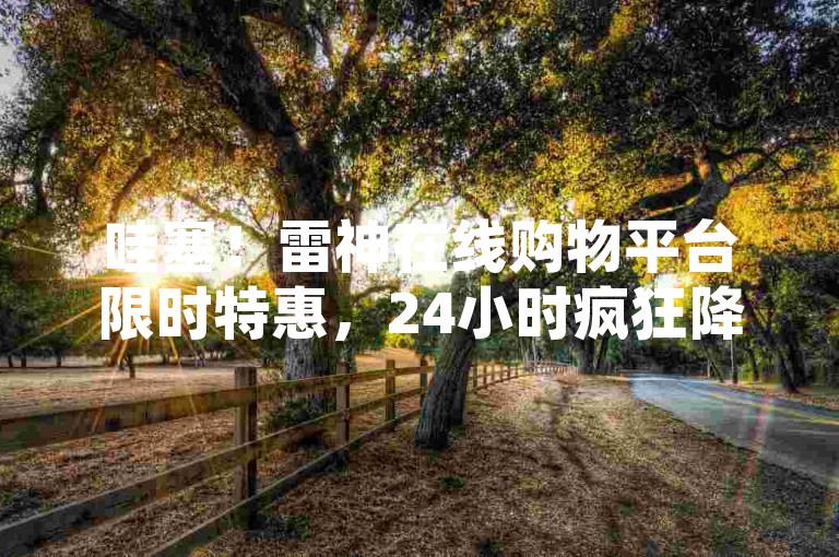 哇塞！雷神在线购物平台限时特惠，24小时疯狂降价，赶紧行动起来！