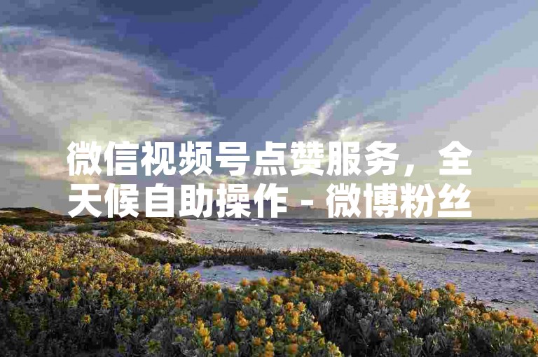 微信视频号点赞服务，全天候自助操作 - 微博粉丝快速增长 - 快手业务办理