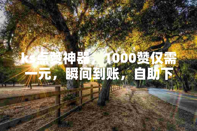 ks点赞神器，1000赞仅需一元，瞬间到账，自助下单更优惠。