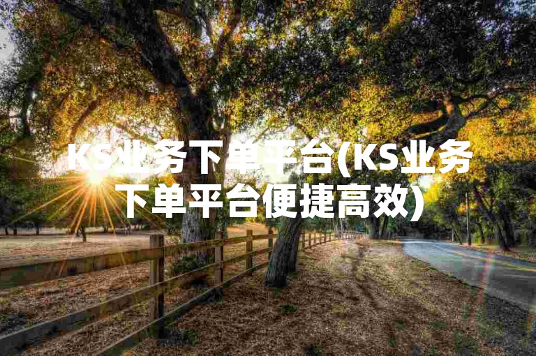 KS业务下单平台(KS业务下单平台便捷高效)