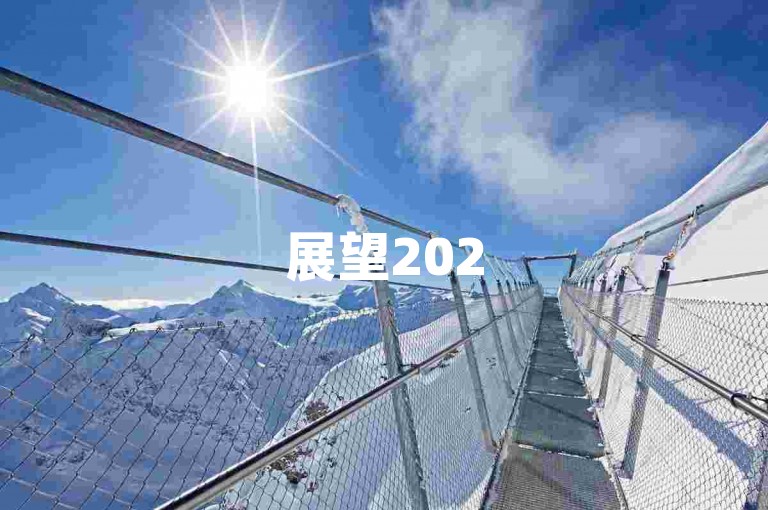 展望2025年，拼多多互助群将开启新的篇章。