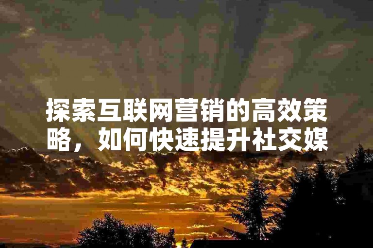 探索互联网营销的高效策略，如何快速提升社交媒体影响力。