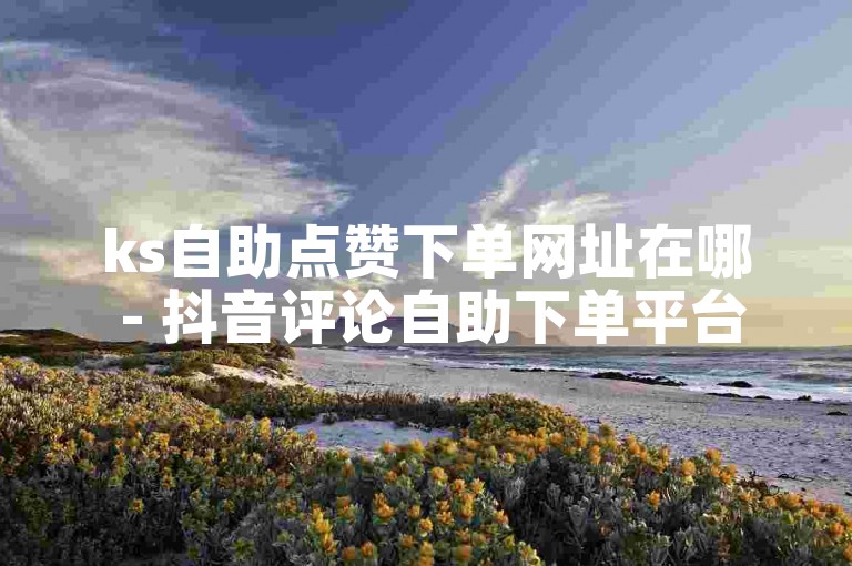 ks自助点赞下单网址在哪 - 抖音评论自助下单平台网站