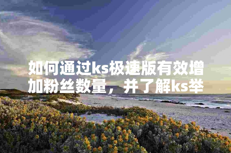 如何通过ks极速版有效增加粉丝数量，并了解ks举报自助下单平台的使用方法？