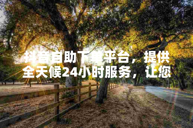 抖音自助下单平台，提供全天候24小时服务，让您随时都能轻松下单。
