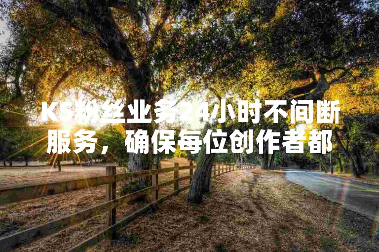 KS粉丝业务24小时不间断服务，确保每位创作者都能获得持续的关注与支持。