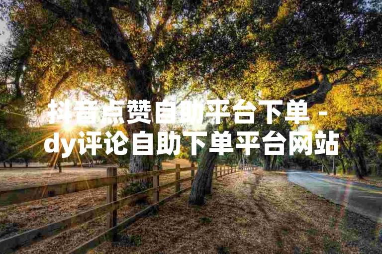 抖音点赞自助平台下单 - dy评论自助下单平台网站，提供便捷的点赞和评论服务。