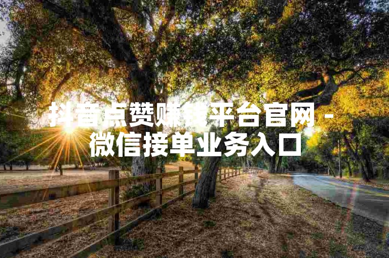 抖音点赞赚钱平台官网 - 微信接单业务入口