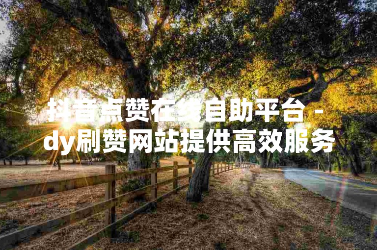 抖音点赞在线自助平台 - dy刷赞网站提供高效服务