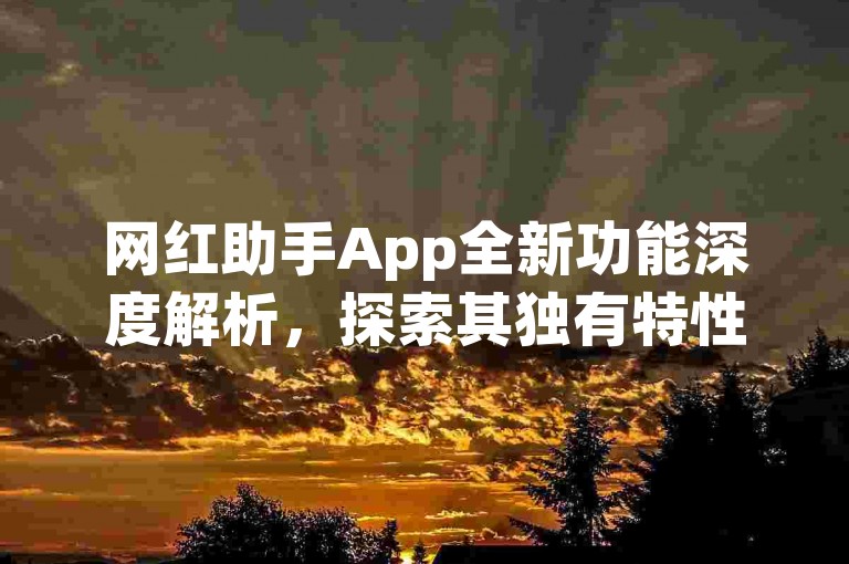 网红助手App全新功能深度解析，探索其独有特性，成为2024年不可或缺的学习工具！