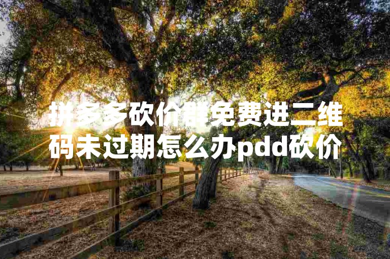 拼多多砍价群免费进二维码未过期怎么办pdd砍价平台