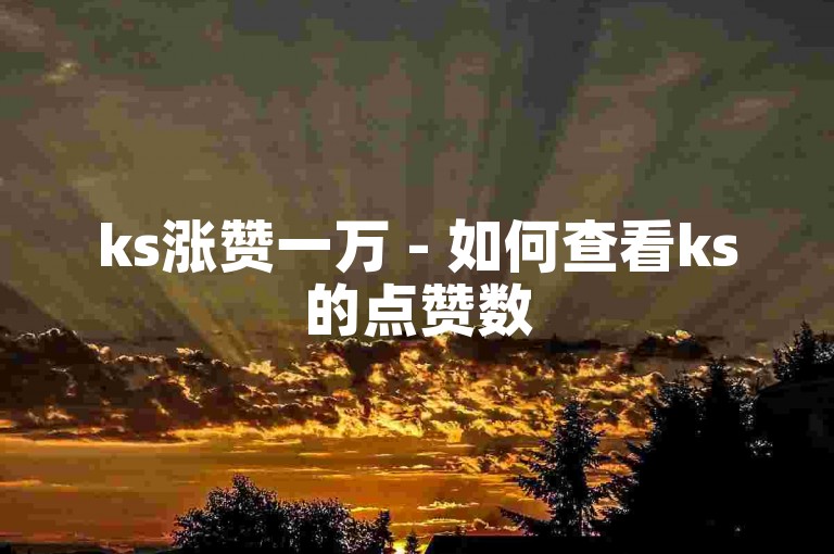 ks涨赞一万 - 如何查看ks的点赞数