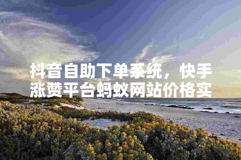 抖音自助下单系统，快手涨赞平台蚂蚁网站价格实惠。