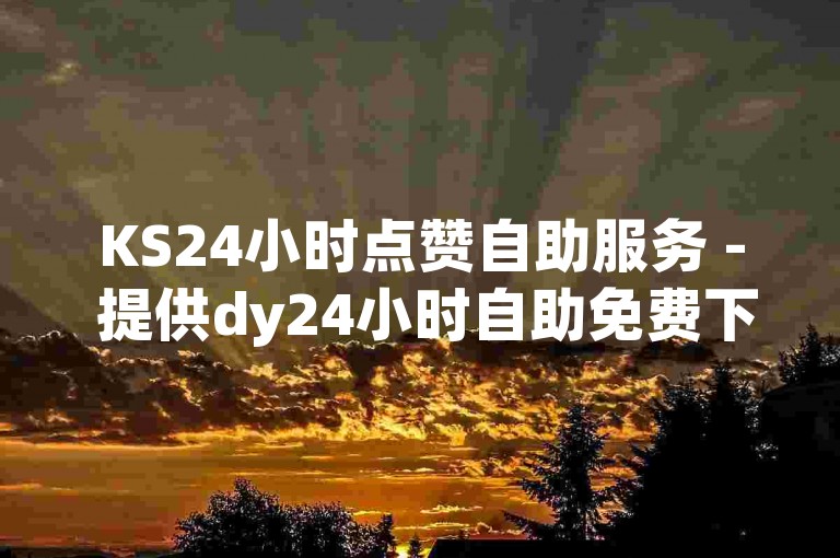 KS24小时点赞自助服务 - 提供dy24小时自助免费下单软件，确保您以最低价享受高效点赞服务。