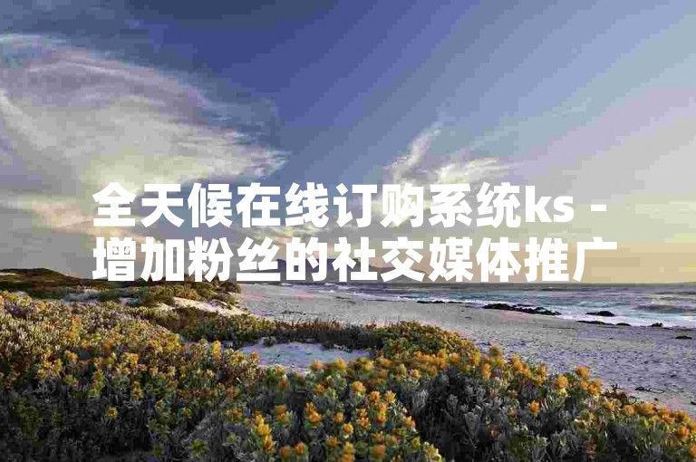 全天候在线订购系统ks - 增加粉丝的社交媒体推广服务。