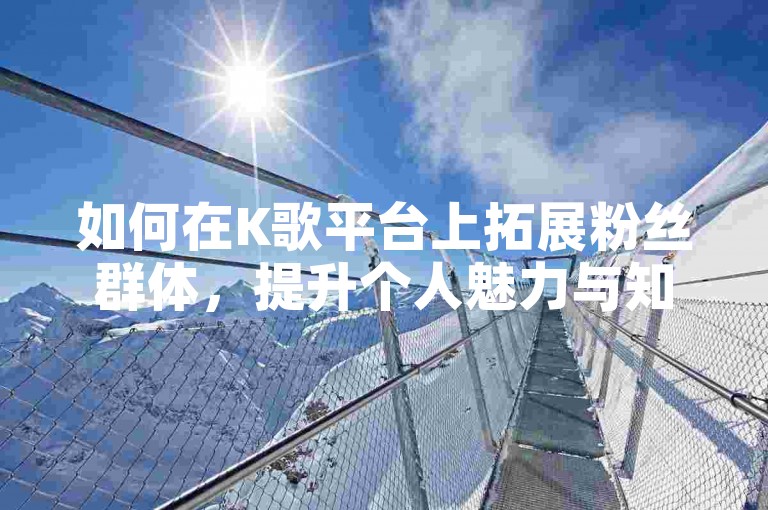 如何在K歌平台上拓展粉丝群体，提升个人魅力与知名度？