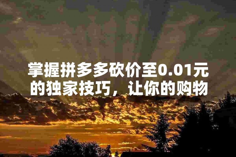 掌握拼多多砍价至0.01元的独家技巧，让你的购物之旅更加顺畅无阻。