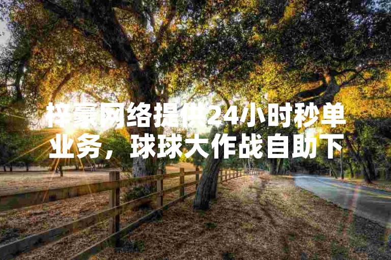 梓豪网络提供24小时秒单业务，球球大作战自助下单中心让你轻松享受卡盟低价。