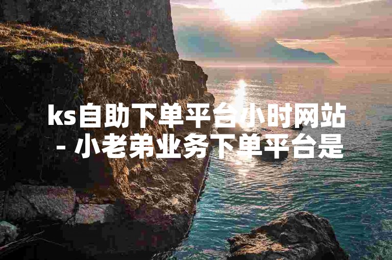ks自助下单平台小时网站 - 小老弟业务下单平台是一个便捷的在线服务平台。