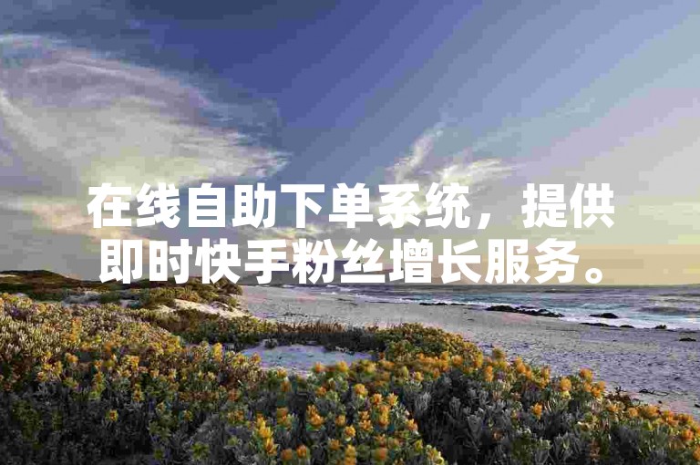 在线自助下单系统，提供即时快手粉丝增长服务。