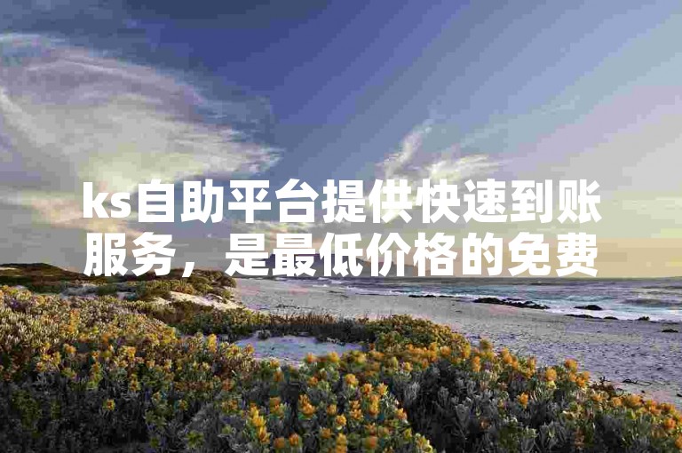 ks自助平台提供快速到账服务，是最低价格的免费自助下单平台。