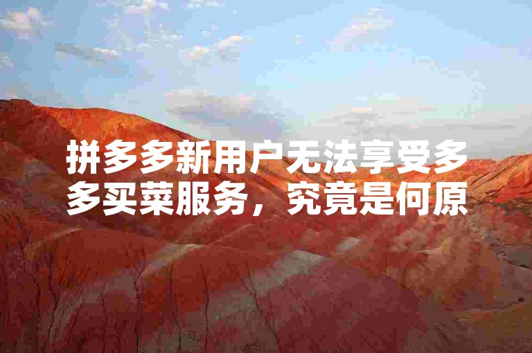 拼多多新用户无法享受多多买菜服务，究竟是何原因所致？