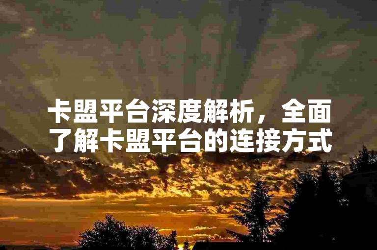 卡盟平台深度解析，全面了解卡盟平台的连接方式与功能特性，2025年必备知识！