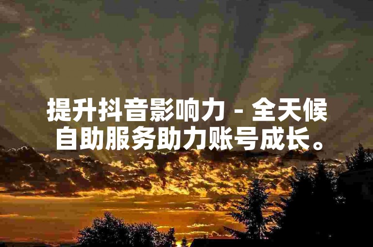 提升抖音影响力 - 全天候自助服务助力账号成长。