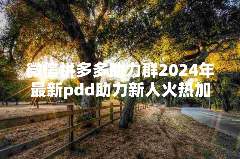微信拼多多助力群2024年最新pdd助力新人火热加入中。