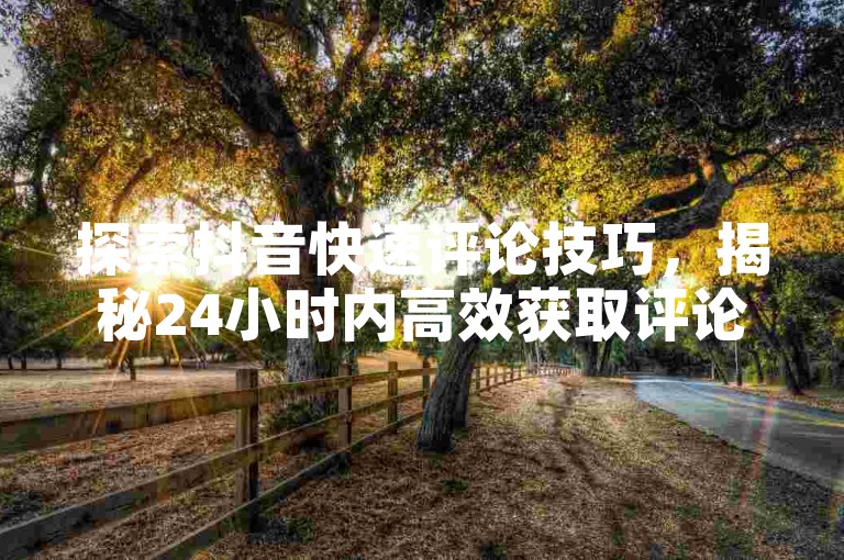 探索抖音快速评论技巧，揭秘24小时内高效获取评论的独家策略，为2025年的社交媒体达人铺路！