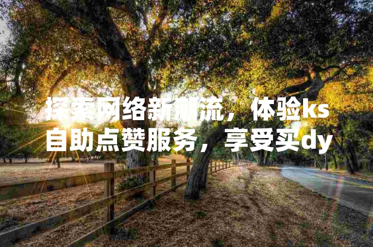 探索网络新潮流，体验ks自助点赞服务，享受买dy赞的便捷与实惠。