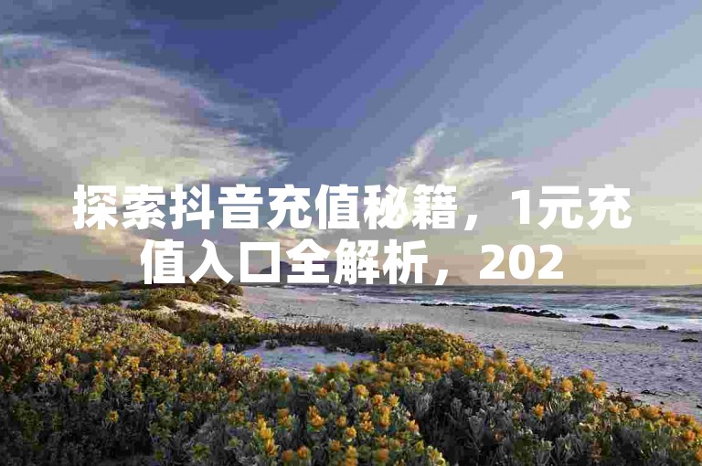 探索抖音充值秘籍，1元充值入口全解析，2025年必备技巧！