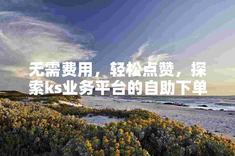 无需费用，轻松点赞，探索ks业务平台的自助下单魅力。