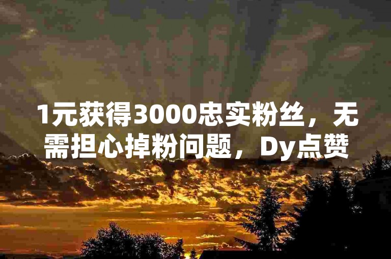 1元获得3000忠实粉丝，无需担心掉粉问题，Dy点赞服务24小时在线 - QQ赞平台 - 抖音业务下单后24小时内快速到账，开启无限可能。