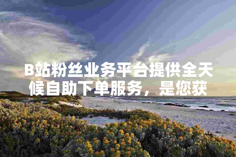 B站粉丝业务平台提供全天候自助下单服务，是您获取B站粉丝的理想选择。
