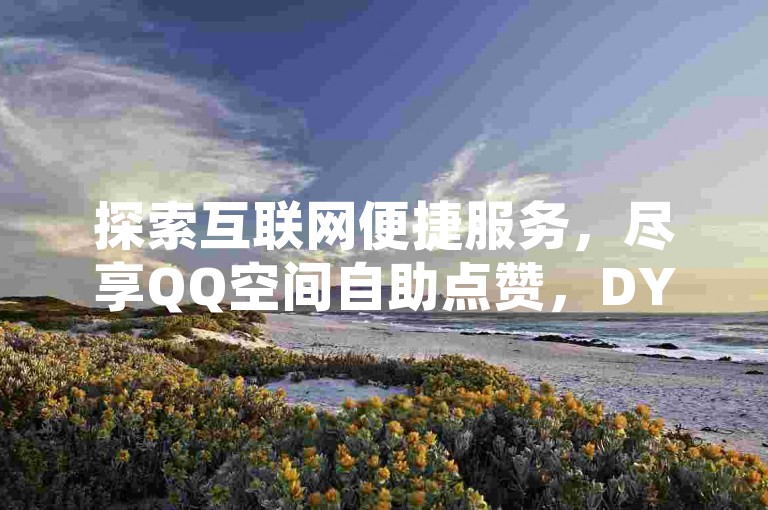 探索互联网便捷服务，尽享QQ空间自助点赞，DY平台全天候为您提供超值体验。