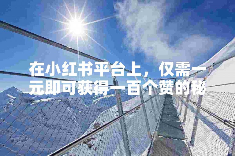 在小红书平台上，仅需一元即可获得一百个赞的秘诀。