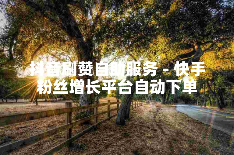 抖音刷赞自助服务 - 快手粉丝增长平台自动下单