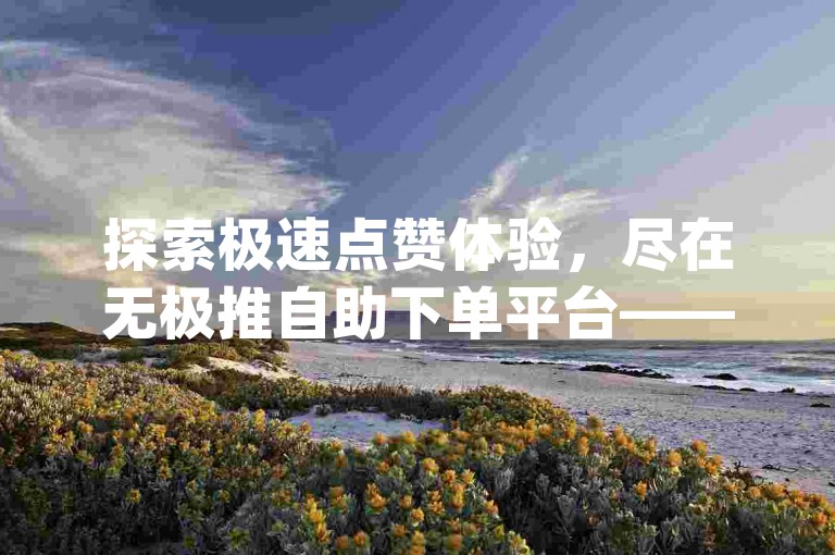 探索极速点赞体验，尽在无极推自助下单平台——快手赞自助平台下单app。
