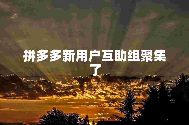 拼多多新用户互助组聚集了500名活跃成员，共同开拓社交驱动电商的潜力。
