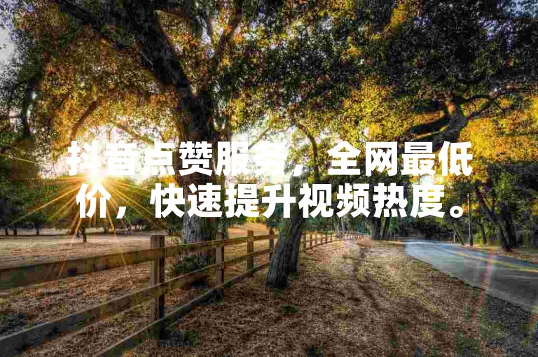 抖音点赞服务，全网最低价，快速提升视频热度。