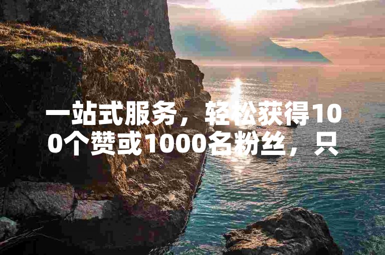 一站式服务，轻松获得100个赞或1000名粉丝，只需一元起。