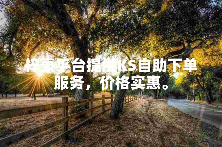 梓豪平台提供KS自助下单服务，价格实惠。