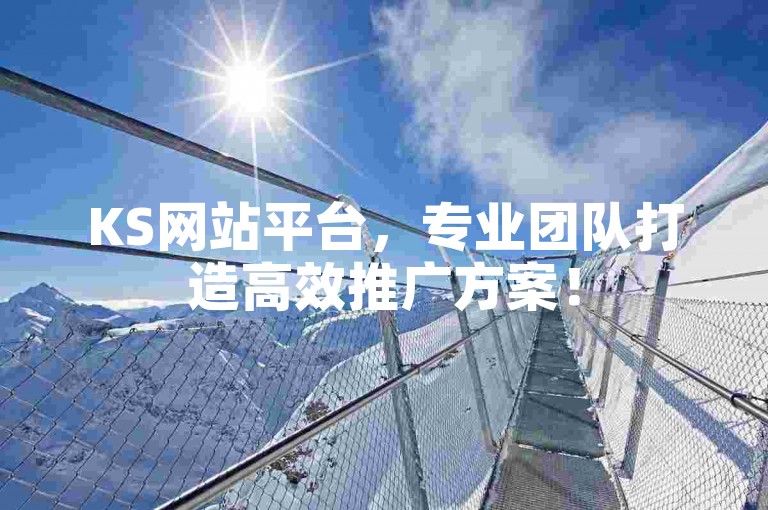 KS网站平台，专业团队打造高效推广方案！